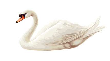 White Swan Bird with Orange Beak.