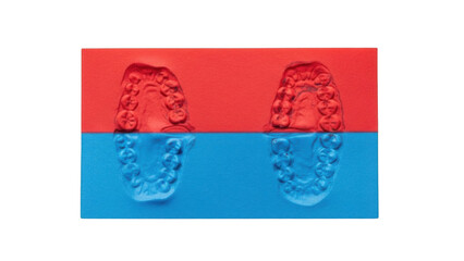 Dental impression molds of teeth on red and blue background isolated on a transparent background model