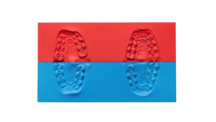 Dental impression molds of teeth on red and blue background isolated on a transparent background model