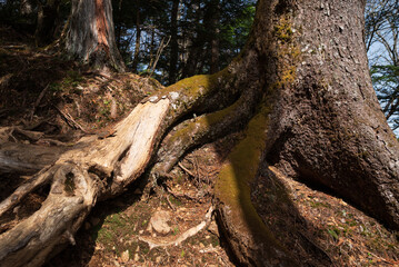Obraz premium Climbing Mount Ryokami, Saitama, Japan