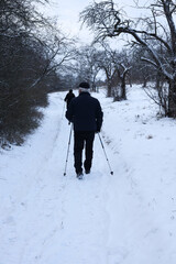 Nordic walking in winter forest. Man with trekking poles.