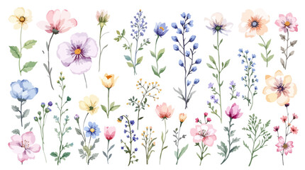 Wildflowers, herbs boho bouquet painted in watercolor. Dried pampas grass floral border. Botanical boho elements isolated on white. Wedding invitation, greeting, card, print, scrapbooking