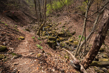 Fototapeta premium Climbing Mount Ryokami, Saitama, Japan