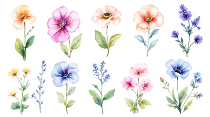 Watercolor Floral Set Clipart: Botanical Collection of Vertical Arrangements with.Ferns, Flowers, and Grasses in Dusty Blue and Beige