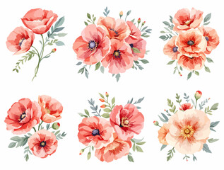 red and white flowers