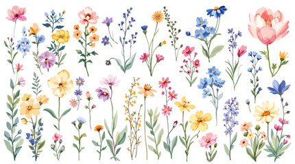 spring flowers vector illustration