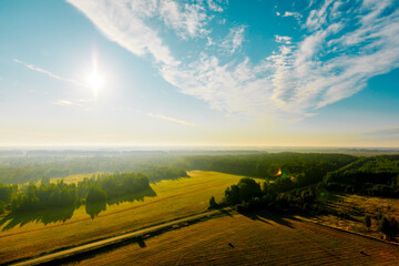 Bird's-eye view of a grassy field with trees, forest background