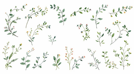 green grass background Watercolor