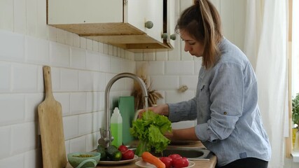 Female in casual blue shirt washing lettuce, tomato and carrot vegetables at sink on counter. White woman hands rinsing greens fresh produce, preparing salads at bright modern kitchen. Meal prep