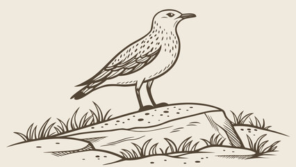Fototapeta premium Seagull Perched on Rock Detailed Line Art Illustration.