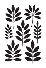 Black silhouettes of various leaves white plants