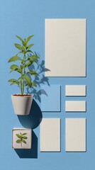 blue background with plant labels and sprout seed layout