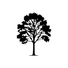 Obraz premium Element decoration of nature. A collection of diverse black tree silhouettes, including various