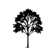 Obraz premium Element decoration of nature. A collection of diverse black tree silhouettes, including various