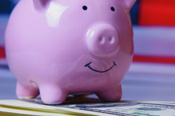 Pink piggy bank standing on money symbolizing savings, financial security, smart budgeting, and planning for a stable future.