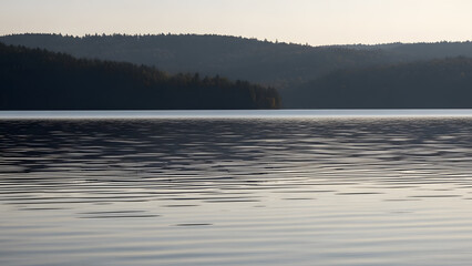 Calm waterline framed by trees along the shore