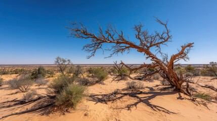 A solitary gnarled tree stands against a clear blue sky in a vast desert landscape with undulating sand dunes.