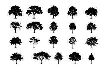 Fototapeta premium tree silhouettes on white background. Vector illustration.