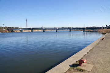 Obraz premium 川岸の風景