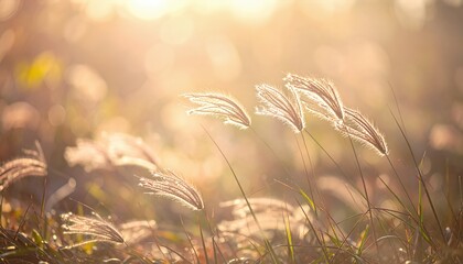 Spring Melody of the Soul of the Earth With Light Wind Shaping Grass and Plants in Nature Scene