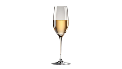 Elegant Champagne Glass