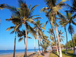 Al Qurum beach and waterfront walking area among the palm trees in Muscat, Oman