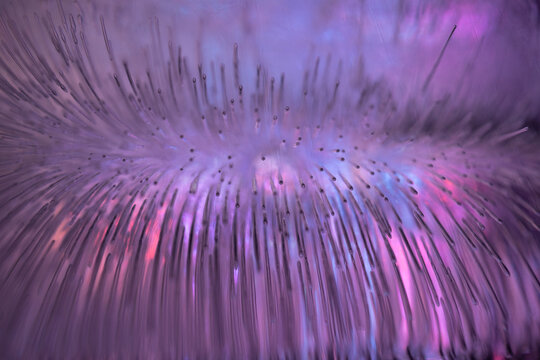 Macro Texture of Frosted Ice with Unique Needle-Like Air Bub`