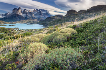 Nice view of Torres Del Paine National Park, Chile.