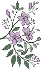 Elegant Floral Branch Illustration with Delicate Purple Flowers and Green Leaves.