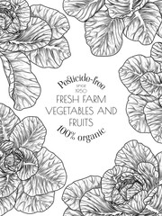 Vector banner with cabbage. Frame: nutritious vegetables. White cabbage. Healthy eating. Organic farming. Template for a grocery store