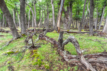 View of Los Glaciares National Park, El Chalten,Patagonia, Argentina.