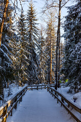 Wooden railings guard the path © Kushnirov Avraham