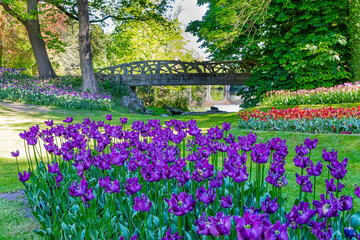 The small bridge over ravine © Kushnirov Avraham