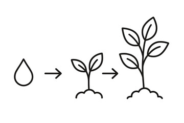 Obraz premium Steps of plant growth from seed to sprout with water as a key factor in development