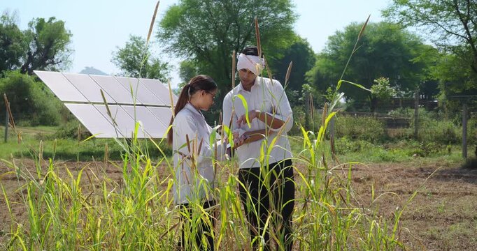 Indian gen z female wear white lab coat visit farm field do work hold tab look screen check eco friendly plant data young adult girl use tablet talk speak share plan ideas to man male at rural area