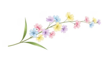 Delicate branch with pastel colored flowers and green leaves isolated on a transparent background floral