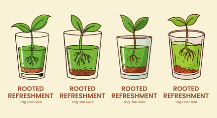 Illustrated sequence showing a small green sprout developing roots inside a glass of water on white background