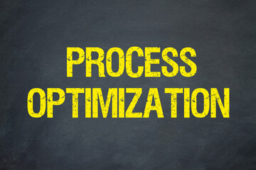 Process Optimization	
