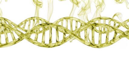 Yellow D N A helix structure with smoky wisps against background isolated on a transparent background