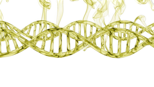 Yellow D N A helix structure with smoky wisps against background isolated on a transparent background
