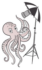 Octopus Photographer with Studio Lighting.