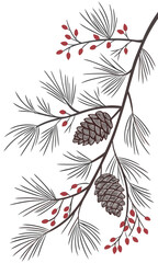 Winter Botanical Illustration with Pine Cones and Berries.