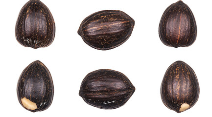 Six Brazil nuts with visible inner textures and one showing a small portion of edible arranged in two rows isolated on a transparent background