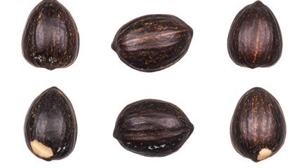 Six Brazil nuts with visible inner textures and one showing a small portion of edible arranged in two rows isolated on a transparent background