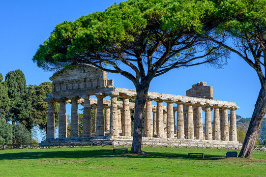 Ancient Greek Temple of Athena in Paestum, Italy at sunny day with blue sky. Famous archaeological site of Paestum, Magna Graecia, ancient ruins.