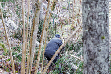 Forest Worker Clearing Brushwood