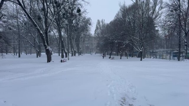 A snow-covered alley in the city
