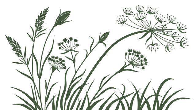 Elegant Silhouette of Wild Plants and Grass in a Field.