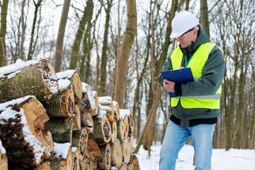Male forestry expert conducting a quality assessment of stacked wood piles in a cold winter forest....