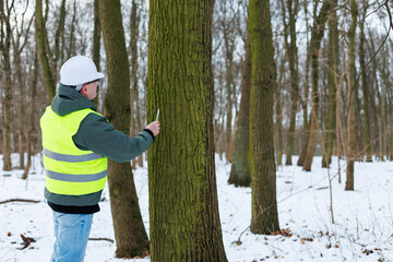 Environmental engineer. Ecologist inspecting trees and records data.	Forester checking tree health in the forest. Analyzing and recording ecological data for forest management and conservation. 
